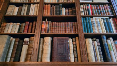 Bücher in der Bibliothek Brehm