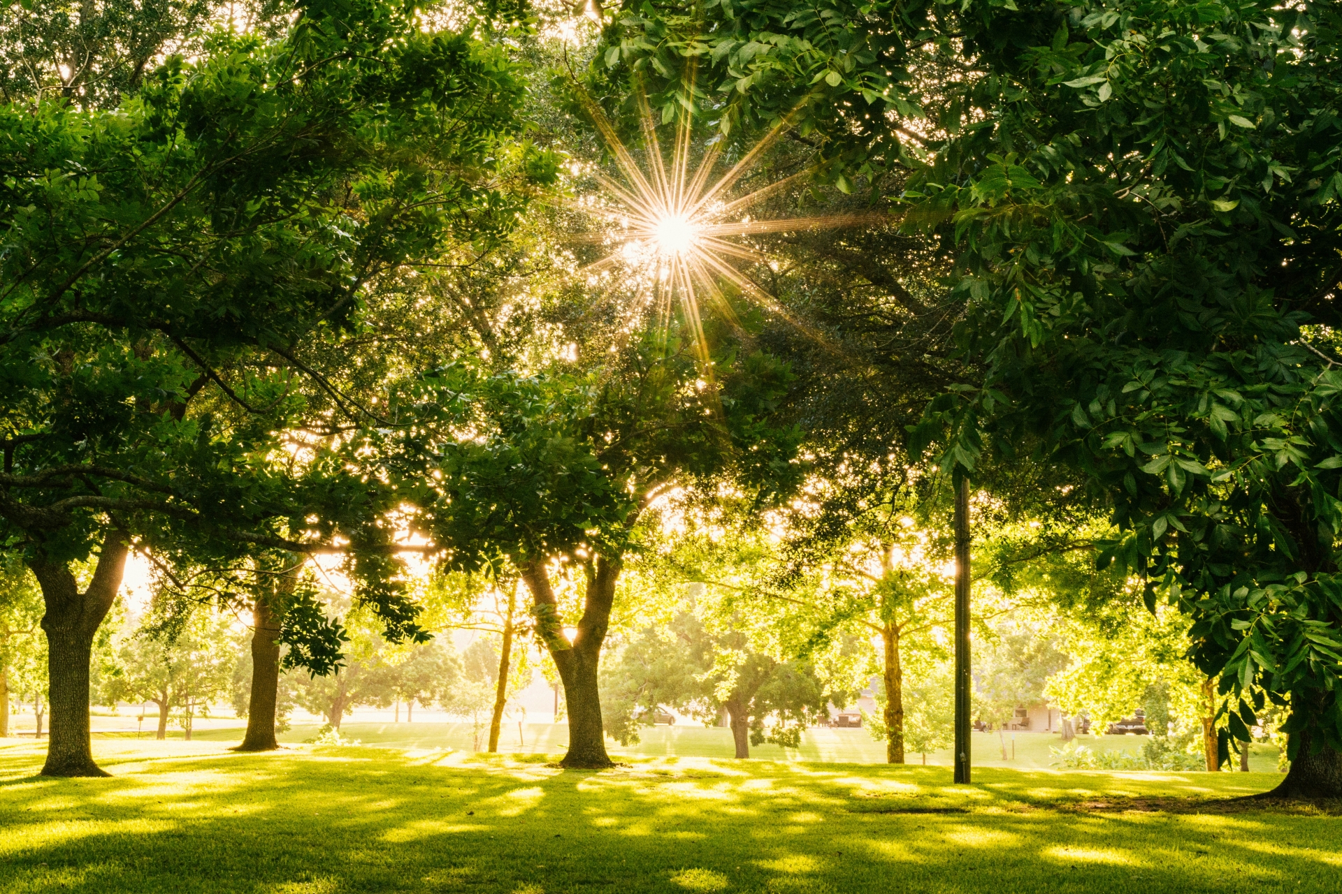 Park mit Sonnenschein Park mit Sonnenschein